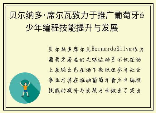 贝尔纳多·席尔瓦致力于推广葡萄牙青少年编程技能提升与发展