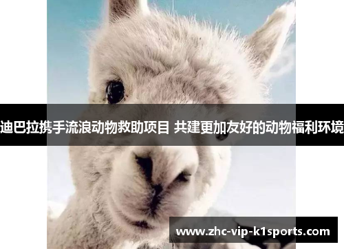 迪巴拉携手流浪动物救助项目 共建更加友好的动物福利环境