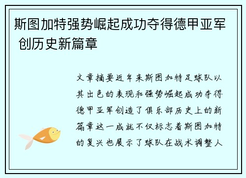 斯图加特强势崛起成功夺得德甲亚军 创历史新篇章